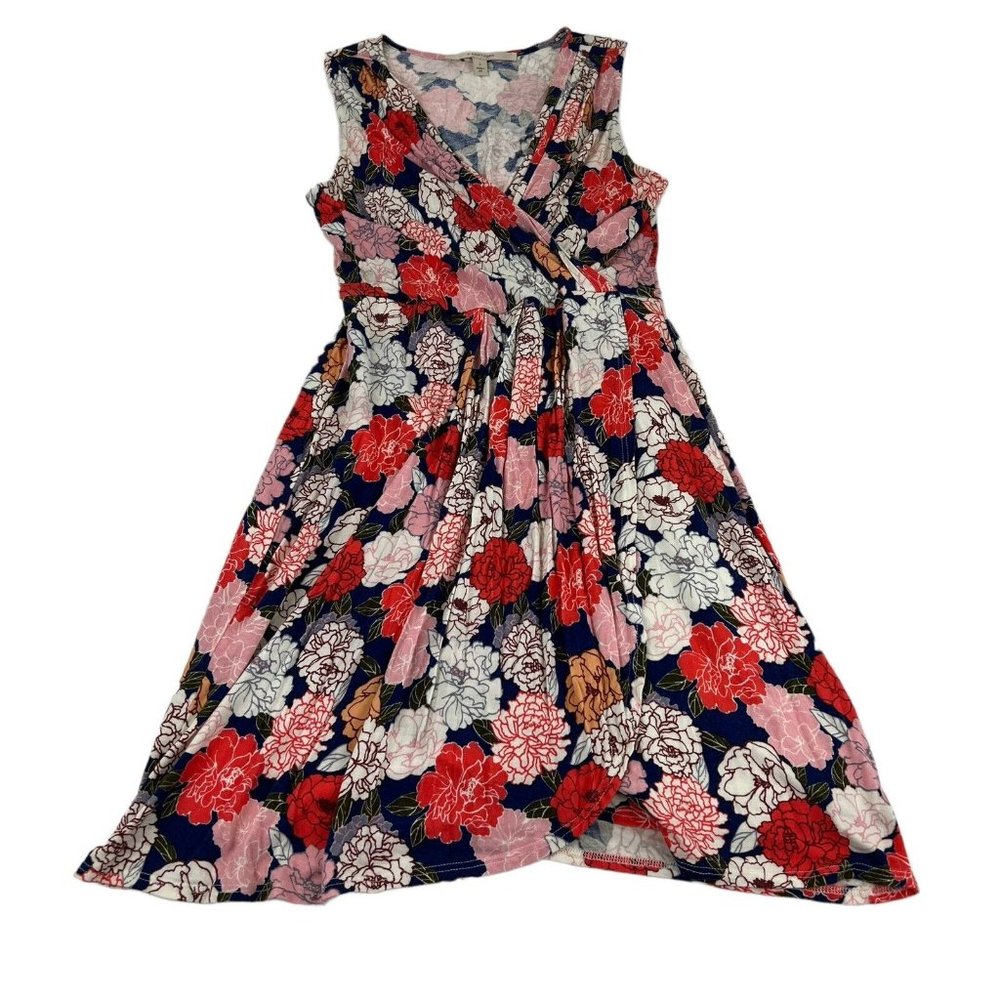 41Hawthorn A-Line Dress Women's Small Blue Red Pink Floral Print Sleeveless